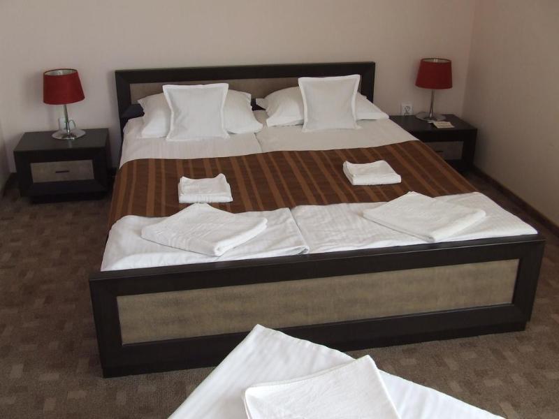 Pensiune Pensiunea Schwartz 3*